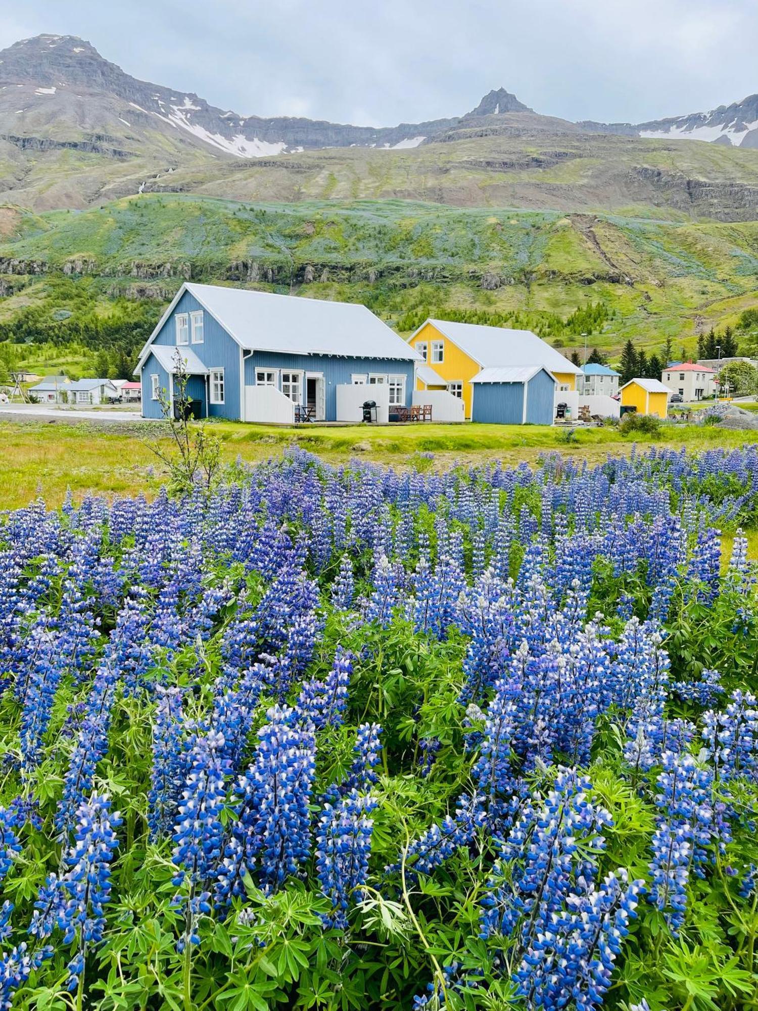 Lonsleira Apartments Seyðisfjörður Esterno foto