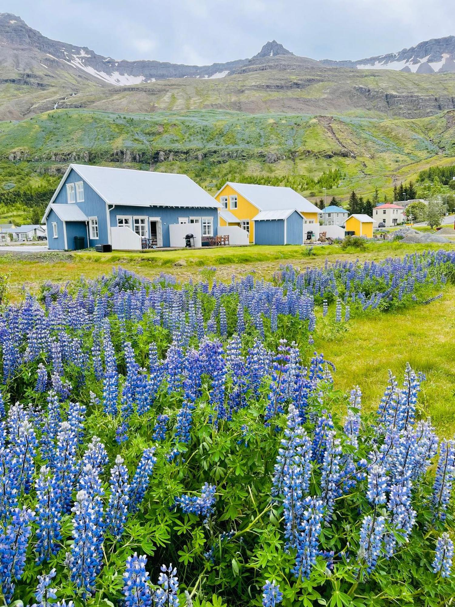 Lonsleira Apartments Seyðisfjörður Esterno foto